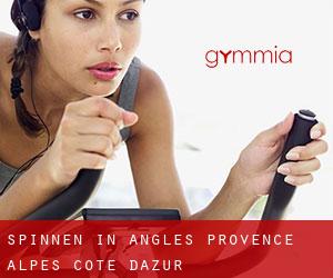 Spinnen in Angles (Provence-Alpes-Côte d'Azur)