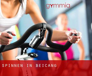 Spinnen in Beicang Spinnen in Beicang