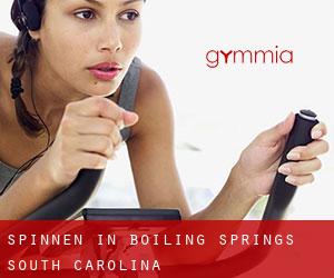 Spinnen in Boiling Springs (South Carolina)