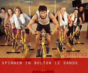 Spinnen in Bolton le Sands