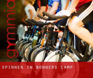 Spinnen in Bonners Camp