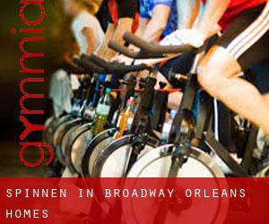 Spinnen in Broadway-Orleans Homes