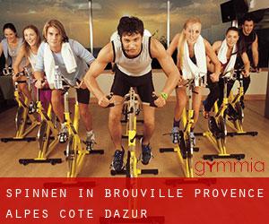 Spinnen in Brouville (Provence-Alpes-Côte d'Azur)