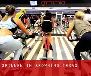 Spinnen in Browning (Texas)