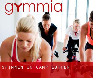 Spinnen in Camp Luther