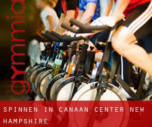 Spinnen in Canaan Center (New Hampshire)