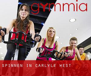 Spinnen in Carlyle West
