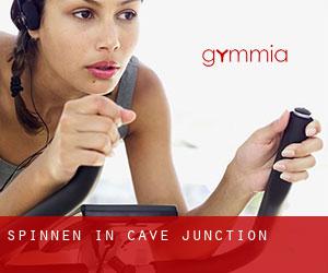 Spinnen in Cave Junction