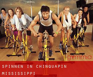 Spinnen in Chinquapin (Mississippi)