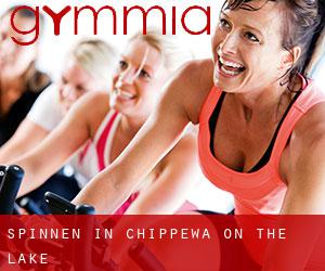Spinnen in Chippewa-on-the-Lake