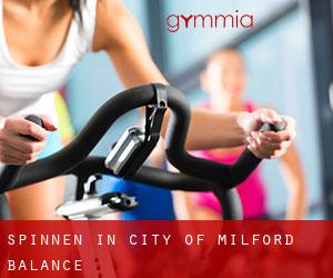 Spinnen in City of Milford (balance)