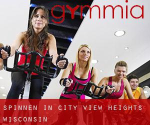 Spinnen in City View Heights (Wisconsin)