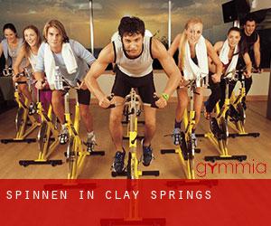 Spinnen in Clay Springs