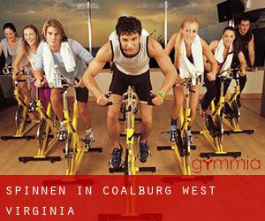 Spinnen in Coalburg (West Virginia)