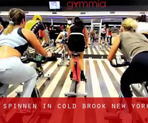 Spinnen in Cold Brook (New York)