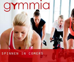 Spinnen in Comers