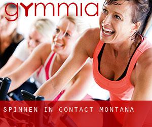 Spinnen in Contact (Montana)