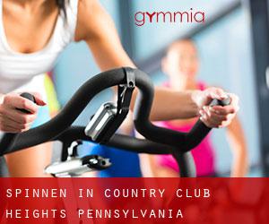 Spinnen in Country Club Heights (Pennsylvania)