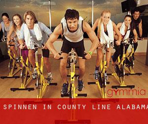 Spinnen in County Line (Alabama)