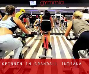 Spinnen in Crandall (Indiana)