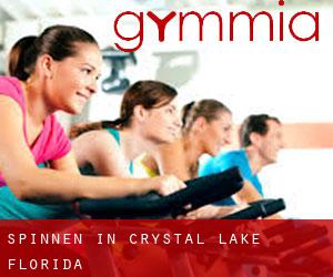 Spinnen in Crystal Lake (Florida)