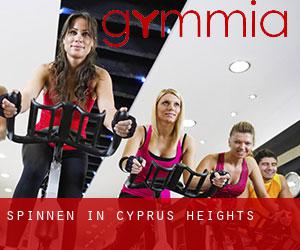 Spinnen in Cyprus Heights