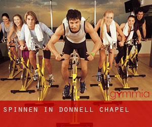 Spinnen in Donnell Chapel