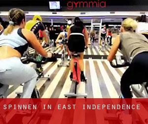 Spinnen in East Independence