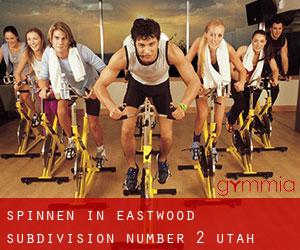 Spinnen in Eastwood Subdivision Number 2 (Utah)