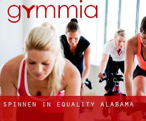 Spinnen in Equality (Alabama)