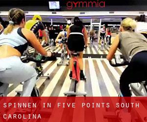 Spinnen in Five Points (South Carolina)