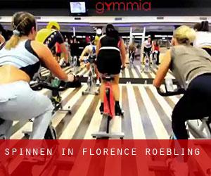 Spinnen in Florence-Roebling