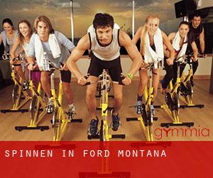 Spinnen in Ford (Montana)