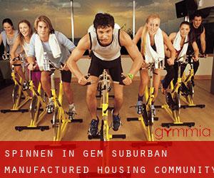 Spinnen in Gem Suburban Manufactured Housing Community