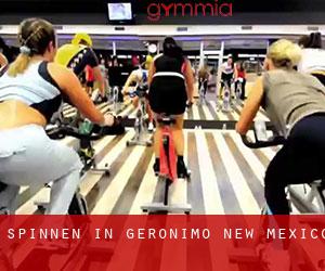 Spinnen in Geronimo (New Mexico)