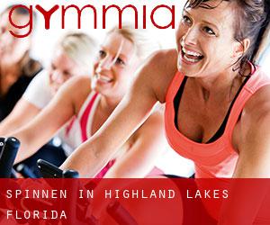 Spinnen in Highland Lakes (Florida)