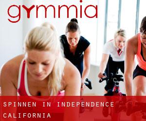 Spinnen in Independence (California)