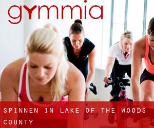 Spinnen in Lake of the Woods County