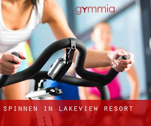 Spinnen in Lakeview Resort