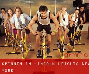Spinnen in Lincoln Heights (New York)