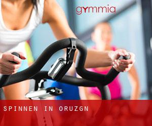 Spinnen in Orūzgān Spinnen in Orūzgān