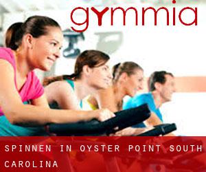 Spinnen in Oyster Point (South Carolina)