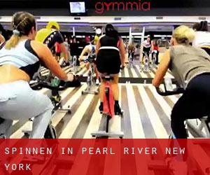 Spinnen in Pearl River (New York)
