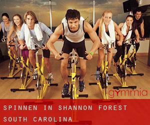 Spinnen in Shannon Forest (South Carolina)