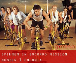 Spinnen in Socorro Mission Number 1 Colonia