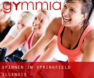 Spinnen in Springfield (Illinois) Spinnen in Springfield (Illinois)