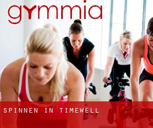 Spinnen in Timewell