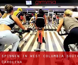 Spinnen in West Columbia (South Carolina)