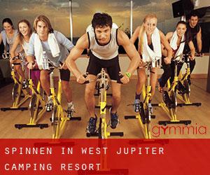 Spinnen in West Jupiter Camping Resort