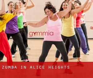 Zumba in Alice Heights
